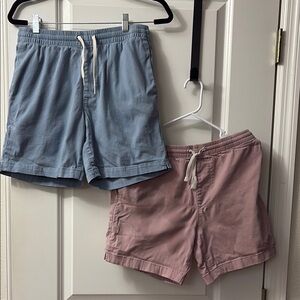 Pacsun Volley 6 inch inseam size small Men's Blue and dusty pink Casual Shorts